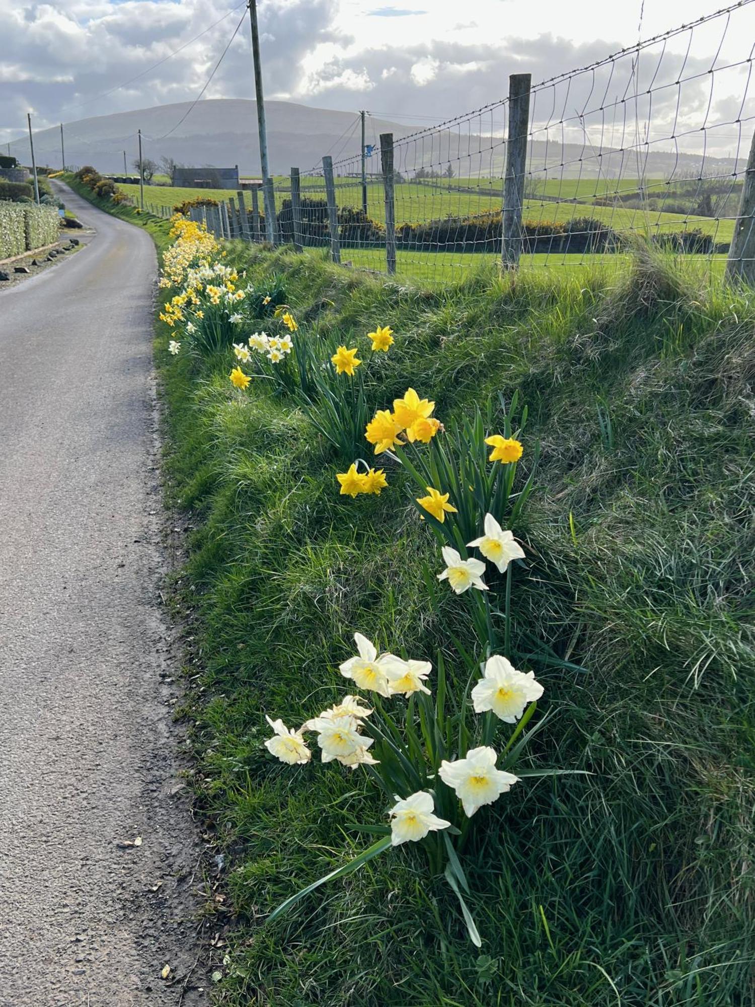 Tornaroan Cottage Ballycastle Εξωτερικό φωτογραφία